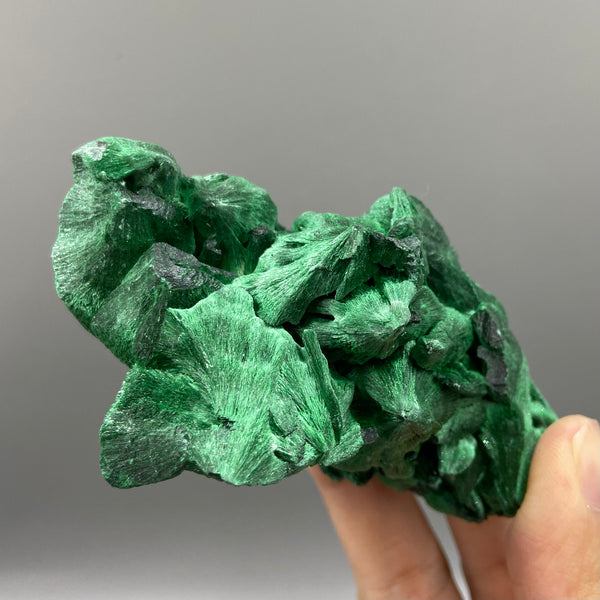 Velvet Malachite Crystal Raw Malachite Silky Fibrous Natural Green mineral specimen - MineralStory Rocks and Minerals