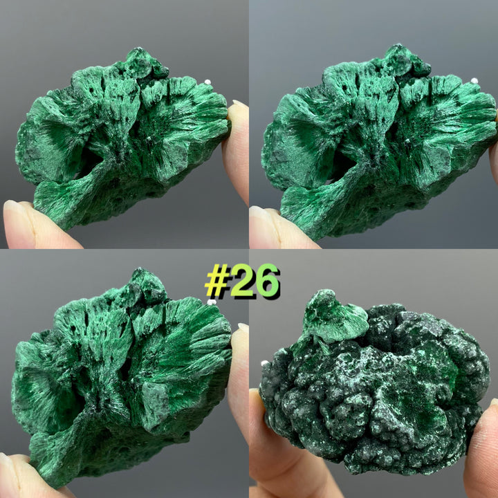 Velvet Malachite Specimens, Silky Fibrous Malachite Crystal 40-50g - MineralStory Rocks and Minerals