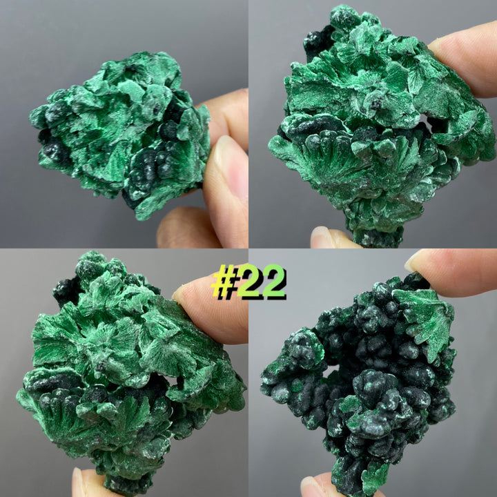 Velvet Malachite Specimens, Silky Fibrous Malachite Crystal 40-50g - MineralStory Rocks and Minerals