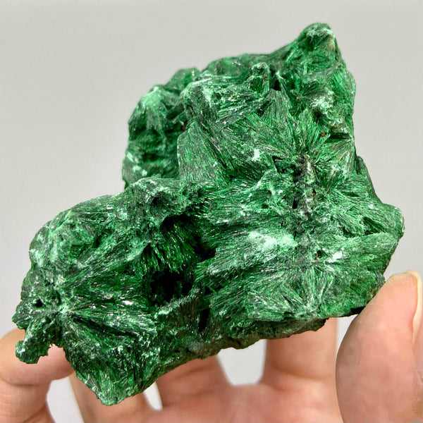 Raw Light Green Malachite from Australia 150-200g Acicular Needle-like Specimen