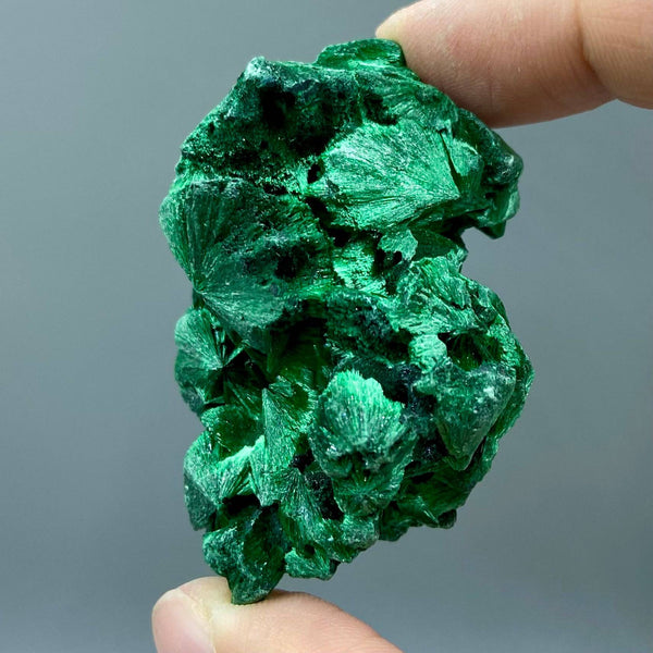 Velvet Malachite Specimens, Silky Fibrous Malachite Crystal 40-50g