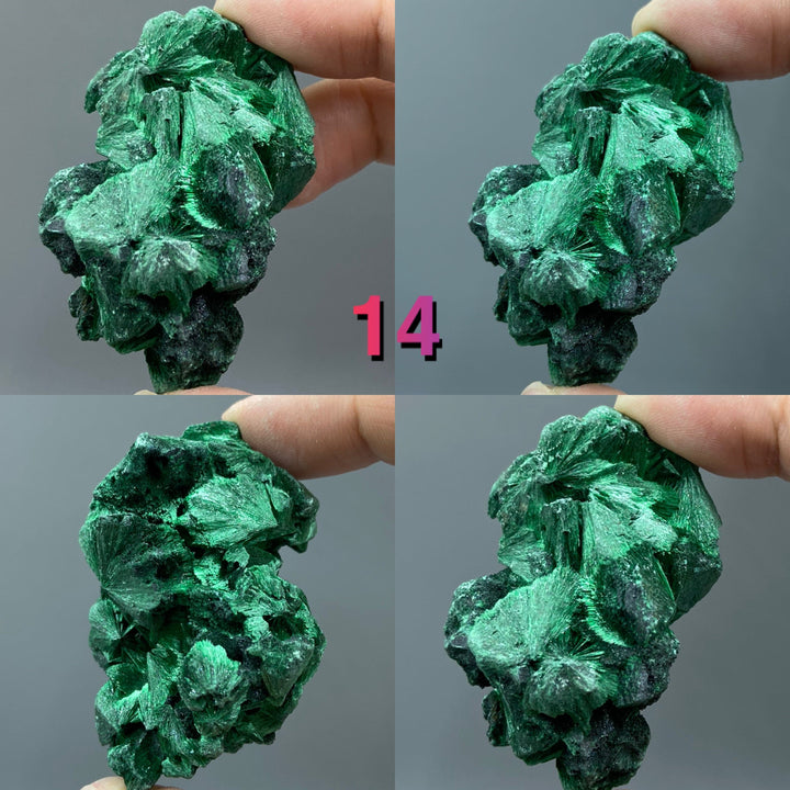 Velvet Malachite Specimens, Silky Fibrous Malachite Crystal 40-50g - MineralStory Rocks and Minerals