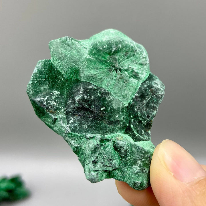 Velvet Malachite Specimens, Silky Fibrous Malachite Crystal 10-20g 2-4cm, Green Malachite - MineralStory Rocks and Minerals