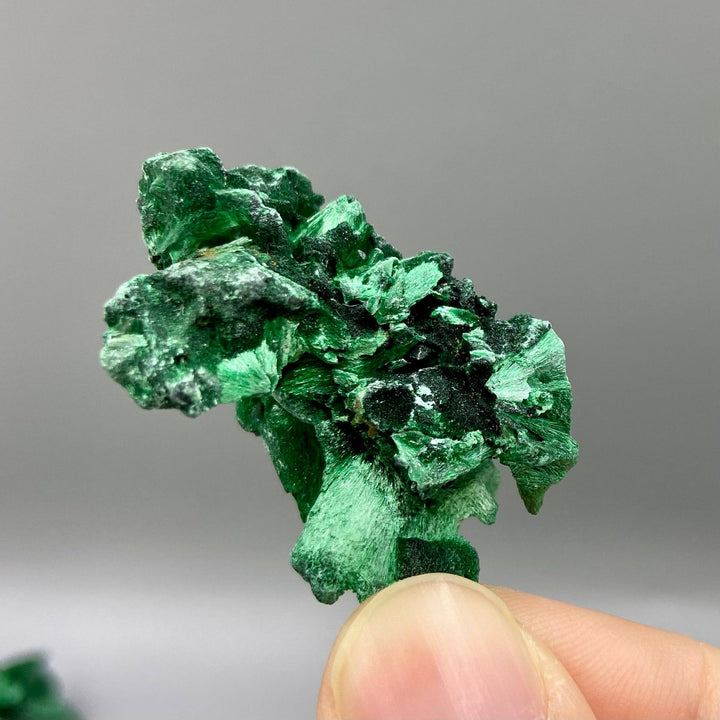 Velvet Malachite Specimens, Silky Fibrous Malachite Crystal 10-20g 2-4cm, Green Malachite - MineralStory Rocks and Minerals