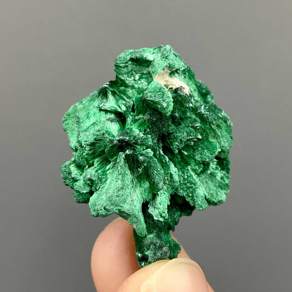 Velvet Malachite Specimens, Silky Fibrous Malachite Crystal 10-20g 2-4cm, Green Malachite